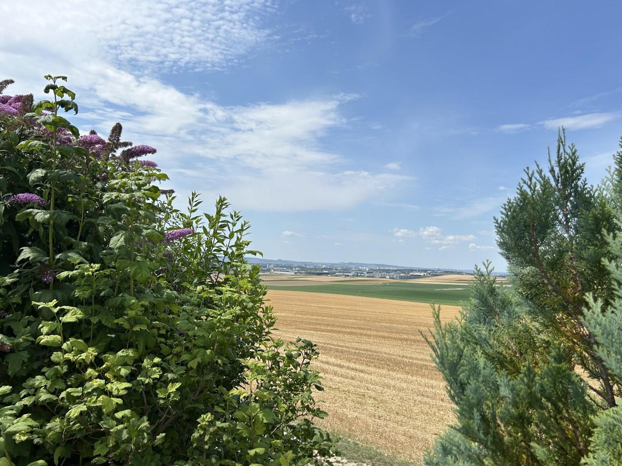Happy Villa Cernay-les-Reims Exteriör bild